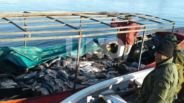 Secuestraron más de dos mil pescados depredados en la zona de islas de Arroyo Leyes