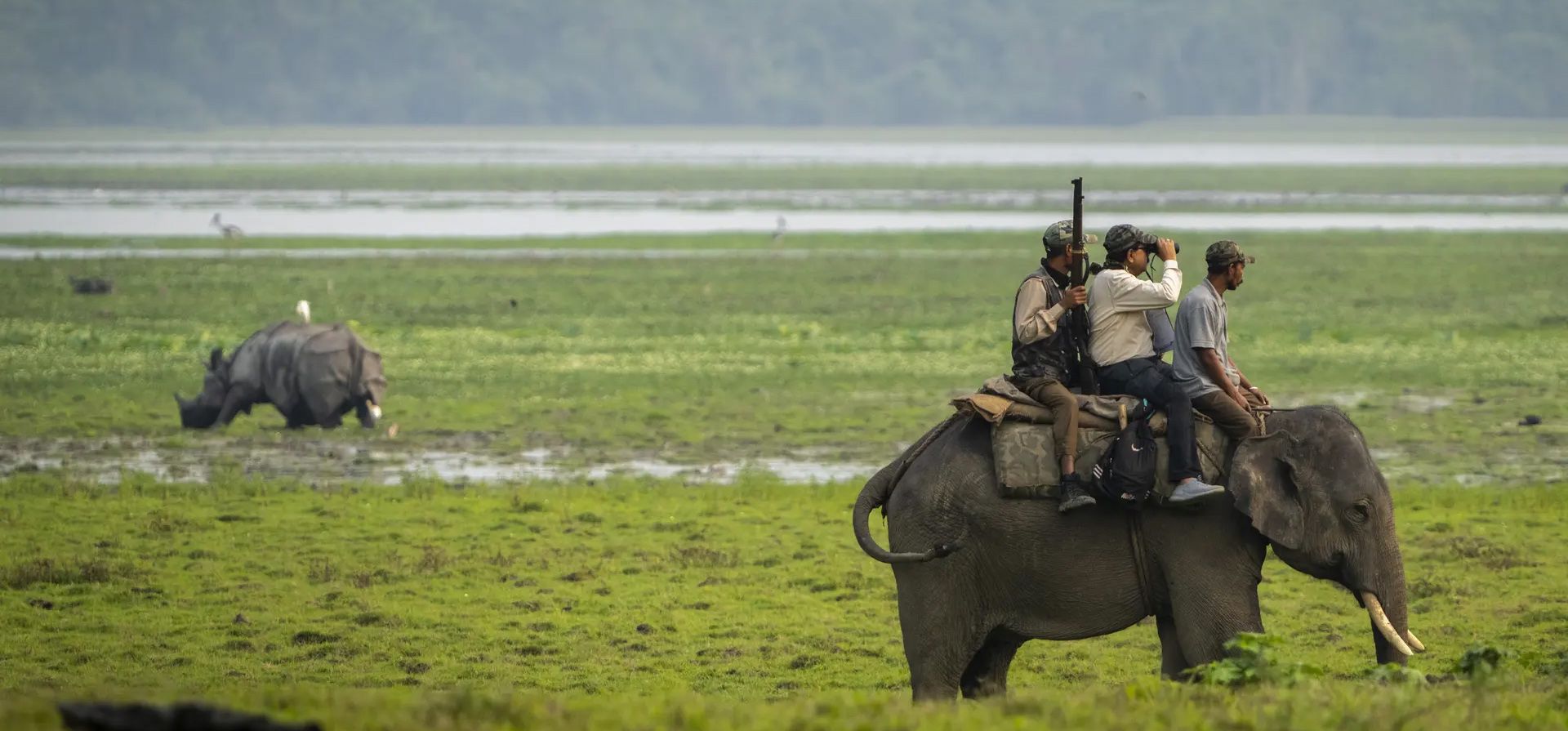 Oficiales de vida silvestre cuentan rinocerontes de un cuerno durante un censo en el parque nacional Kaziranga, Assam, India. Fotografía: Anupam Nath/AP