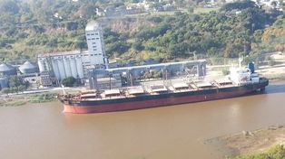 La actividad en los puertos aceiteros se reanudará en el transcurso del día.