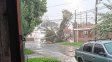 Un árbol cayó en la zona de Coronel Caminos y Casiano Calderón en Paraná. Un árbol cayó en la zona de Coronel Caminos y Casiano Calderón en Paraná.