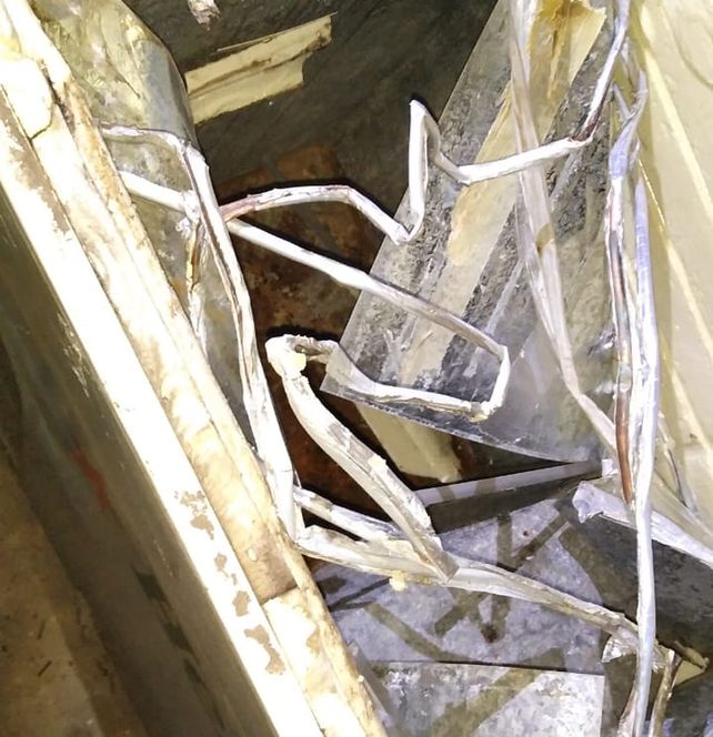 Los j&oacute;venes&nbsp;utilizaban el freezer para llevarse otros elementos.