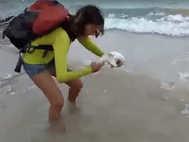 Sacó un tiburón del mar para tomarse una selfie y esto le pasó