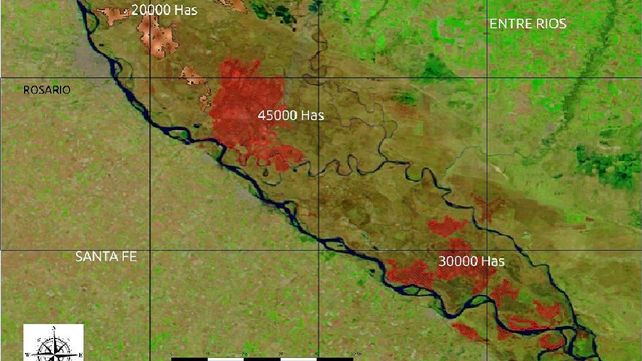 Incendios: se quemaron al menos 95.000 hectáreas del delta