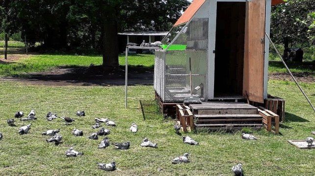 Paraná cuenta con una asociación que nuclea a los amantes de este deporte desde 1943. Sus integrantes organizaron la carrera de la Amistad para el 17 de agosto
