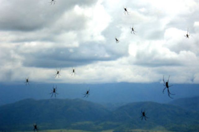¡Lluvias imposibles! 10 objetos insólitos que cayeron del cielo