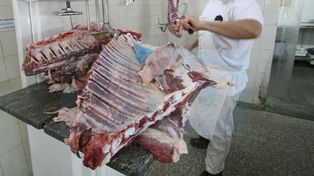 Ya rige el acuerdo de precios por cinco cortes de carne