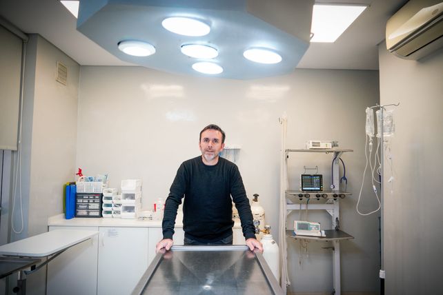 Federico Bonino, médico veterinario y fundador de Sivet.