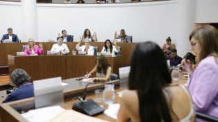 Se conformaron los órganos de control para el transporte público y el Tribunal de Cuentas