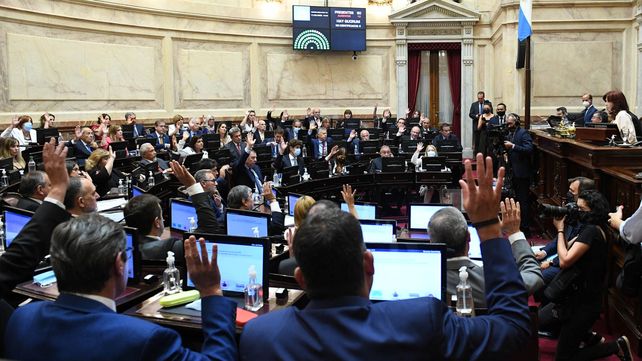 El Senado convirtió en ley el acuerdo con el Fondo Monetario Internacional
