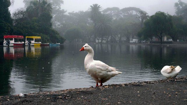 El tiempo en Rosario: el martes arranca con niebla y sigue con ráfagas y nubes