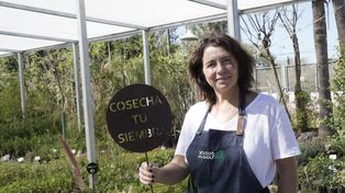 María José Uccello, especialista en jardinería y dueña del Vivero del Golf en Fisherton.