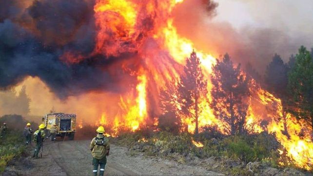 Los incendios en Chubut provocaron daños irreparables.