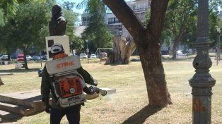 Operativo dengue: cómo es el cronograma de fumigaciones para esta semana