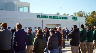 La planta está ubicada estratégicamente en el Parque Industrial Comirsa, en las inmediaciones de San Nicolás de los Arroyos y Ramallo.