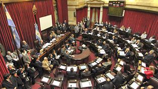 El matrimonio homosexual ten&iacute;a anoche 35 votos a favor y 32 en contra