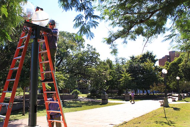 Mantenimiento y puesta en valor del Paseo de las Tres Culturas