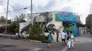 Autoridades de Miami piden que no haya pánico por los 15 casos de zika detectados