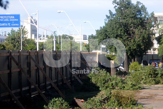 Siguen adelante los trabajos en el Parque Alberdi