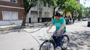 La caída de una rama sobre un cable de alta tensión, dejó a vecinos sin luz