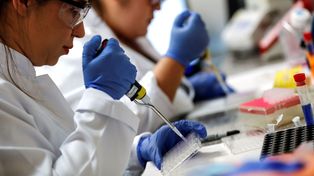 Anmat autorizó el uso de suero equino en la lucha contra el coronavirus