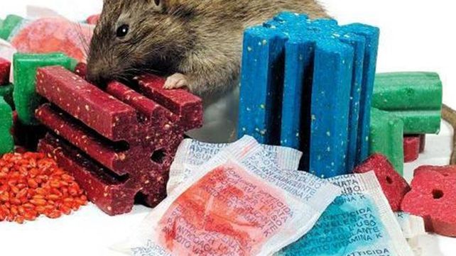 Prohíben la comercialización y el uso de un raticida