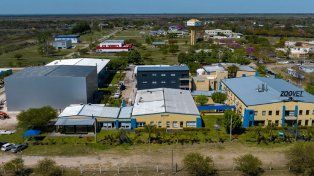 Investigan el robo de cuatro kilos de ketamina de las instalaciones de un laboratorio veterinario