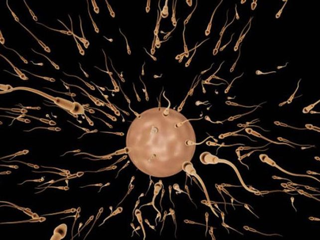 Todo lo que tenés que saber sobre el semen