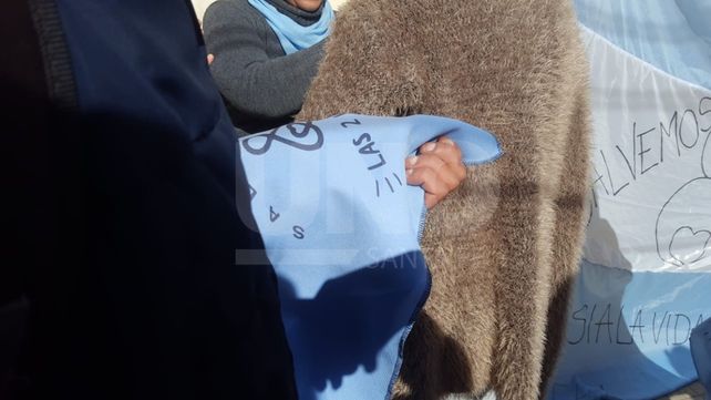 Manifestación provida en apoyo a profesionales de la salud frente al hospital Iturraspe