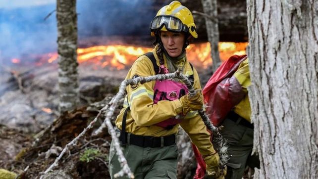 Altas temperaturas y fuertes vientos entorpecen el combate de incendios en los lagos Nahuel Huapi y Parque Nacional Lanín. Afectan 2.700 hectáreas de bosques&nbsp;