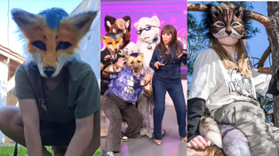 Los furros y los therian son dos comunidades diferentes que se popularizaron en redes sociales.