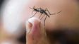 Dengue en Santa Fe: el primer caso confirmado de la temporada es importado