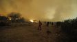 Logran controlar los incendios forestales en la zona de Los Molles de San Luis
