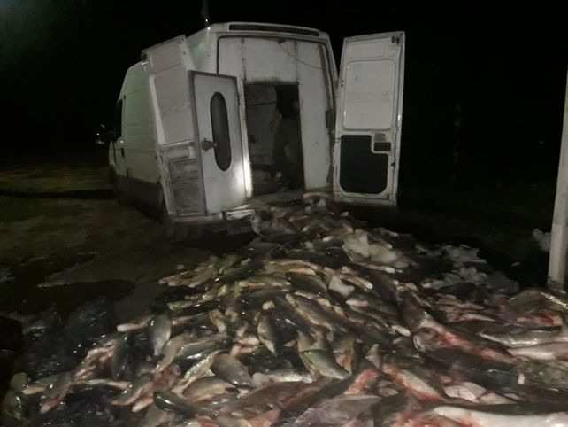 WhatsApp Image 2018-12-02 at 09.24.19