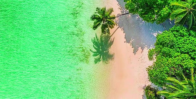 Mucho más que playa: nuevas formas de descubrir el Caribe mexicano