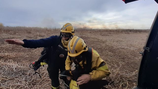 Nación se suma a la demanda judicial de Rosario y Santa Fe por el fuego en las islas