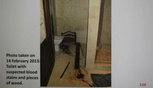 Inéditas y sangrientas fotos del caso Pistorius