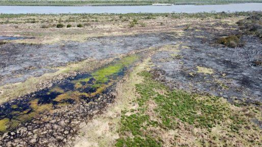Incendios en las islas: controlan más del 90% de los focos y prevén un alivio hidrológico en el río Paraná