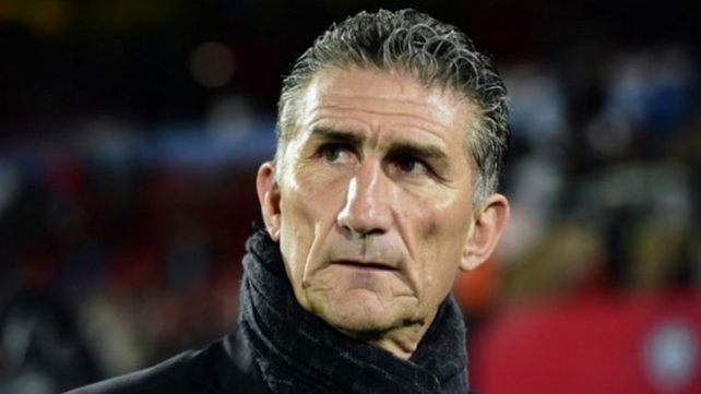 No volvería a ser DT de la Selección No volvería a ser DT de la Selección