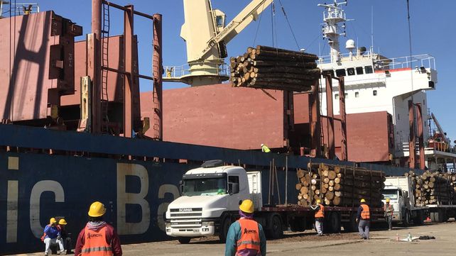 Continuidad. Sigue la actividad en los puertos entrerrianos.