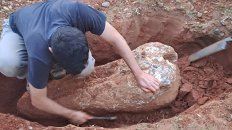 En el parque San Carlos encontraron un fósil de al menos 80.000 años