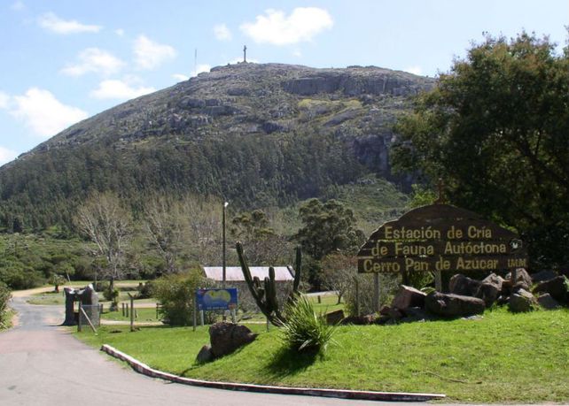 El Cerro Pan de Azúcar