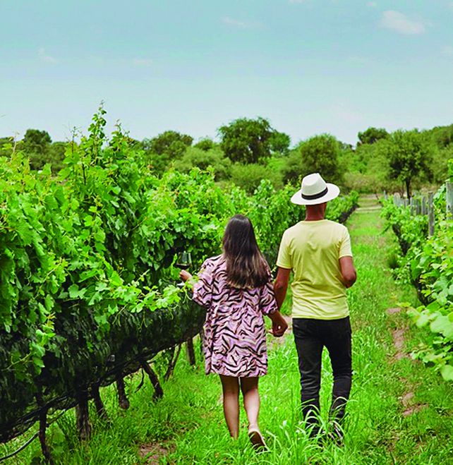 Posada & Bodega La Matilde: enoturismo integral en Traslasierra