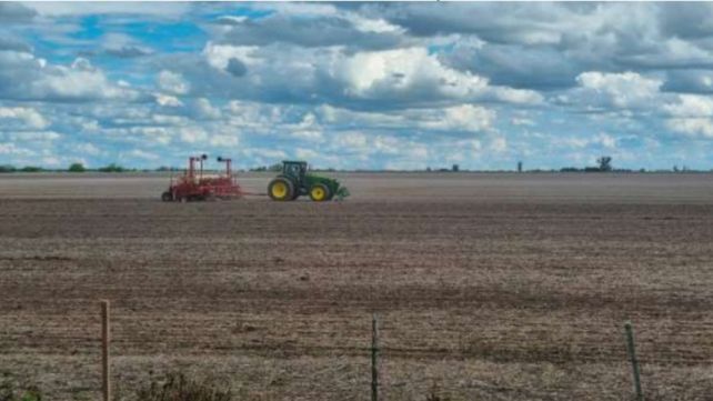 Lote con rastrojo de soja tardía