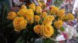 Las florerías se preparan para recibir la primavera, una fecha que impulsa mayores ventas