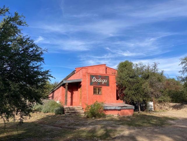 Posada & Bodega La Matilde: enoturismo integral en Traslasierra