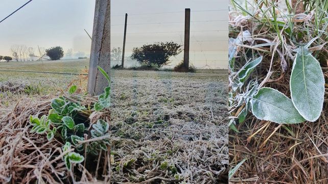 SMN: heladas y sensación térmica bajo cero