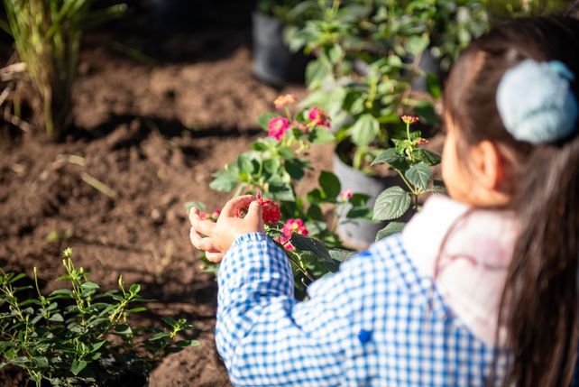 El Jardín de las Mariposas: Una iniciativa original para celebrar el Día del Ambiente en Baigorria