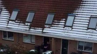 Hallaron plantación de marihuana porque no había nieve en el tejado