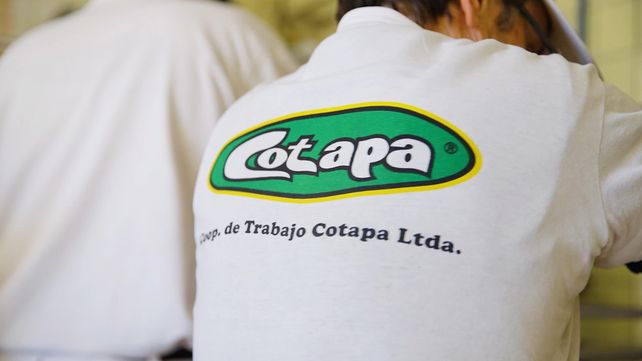 Cotapa