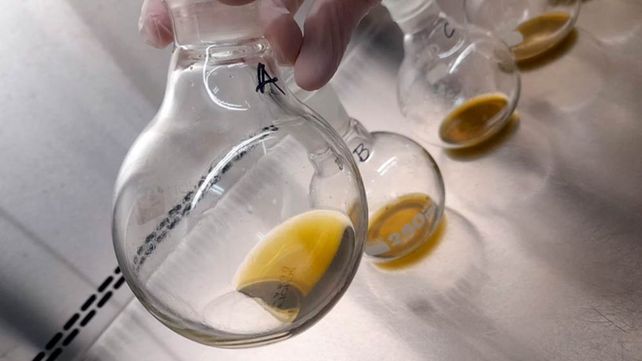 El futuro de los bioinsumos. Extractos metabólicos de Ibira pitá.